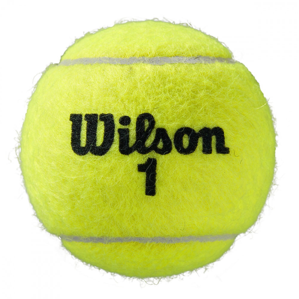 Wilson Roland Garros Har Tru Clay Tennis Ball Case 24 Cans