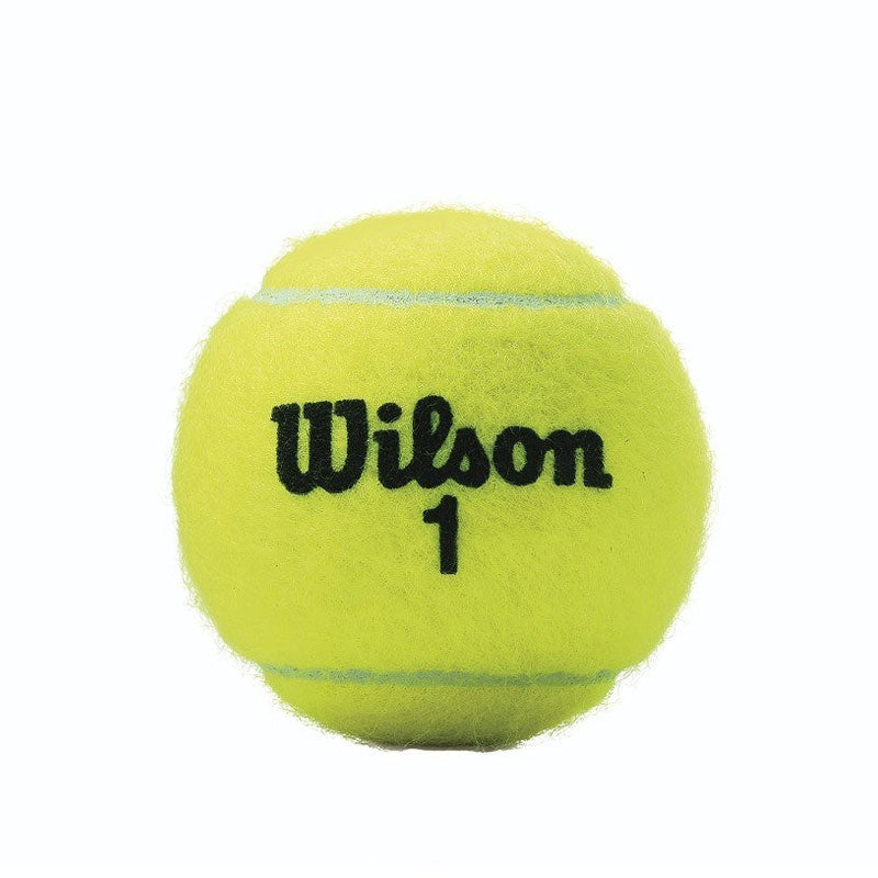 Wilson Championship Extra Duty Tennis Ball Single Can